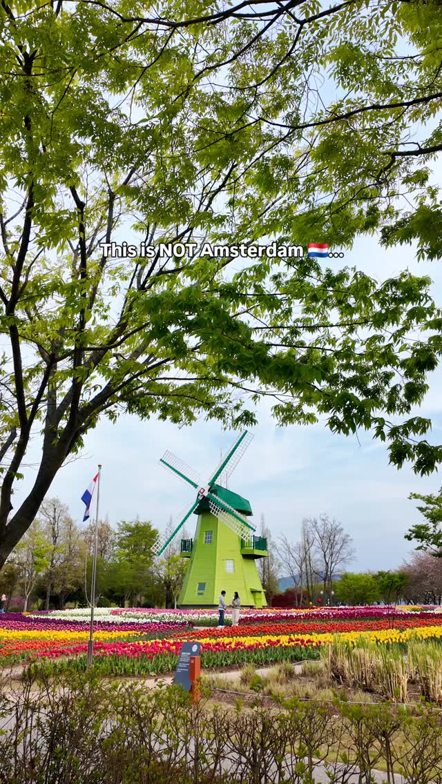 Tulip Season - but in Korea 🇰🇷🌷

Spring in Suncheon is colourful and calm. If you're visiting South Korea this spring, consider adding a stop in Suncheon. This garden alone is worth the trip!🌸